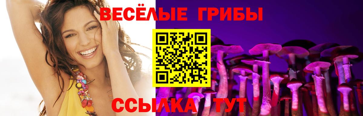 Галлюциногенные грибы мицелий  Вход с VPN  наркота  Тосно 
