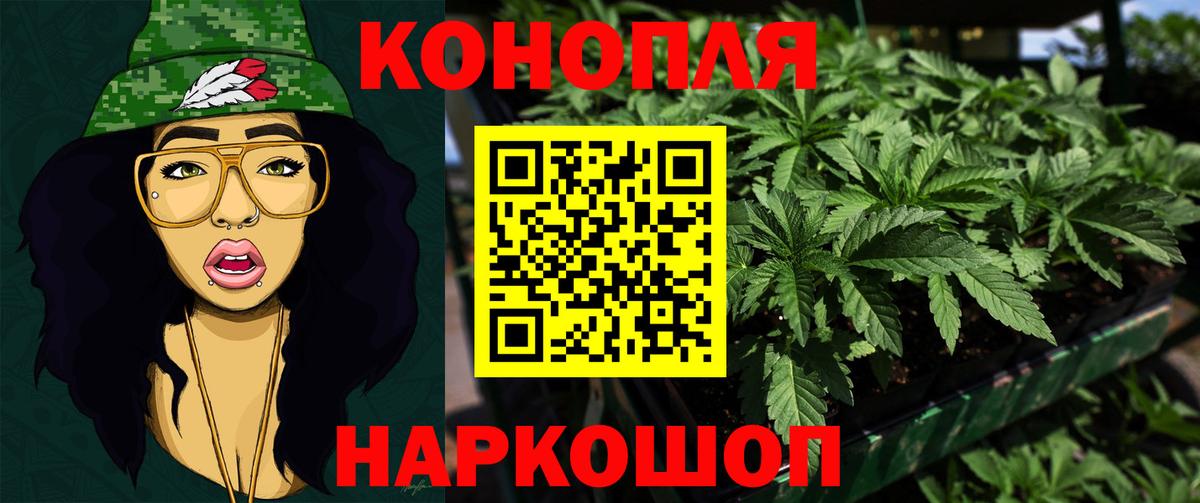 Бошки Шишки семена Тосно