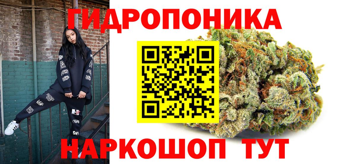 Канабис индика  Каннабис Bruce Banner  Конопля тримм  Тосно  Вход с VPN  Каннабис планчик 